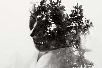 446. Christoffer Relander, "PERFUME".