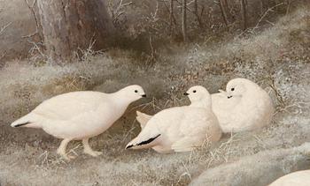 Ferdinand von Wright, Ptarmigans.