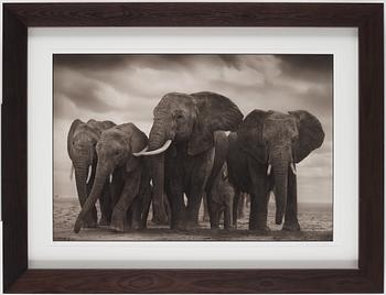 Nick Brandt, "Elephant Five, Amboseli", 2008.