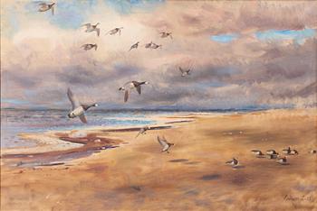 Lindorm Liljefors, Stretching geese.