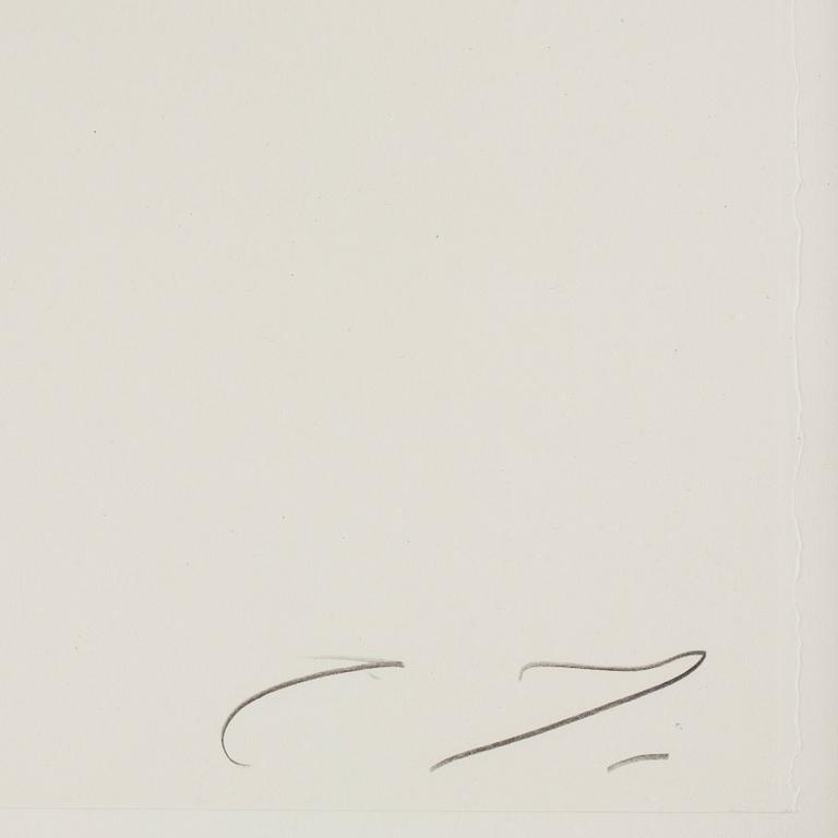 Cy Twombly, From: "Natural History, Part II: Some Trees of Italy".