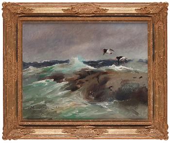 Mosse Stoopendaal, Oystercatchers in flight over stormy sea.