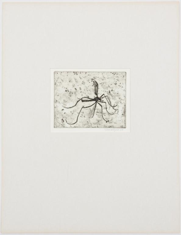 Hans Wigert, Mosquito.