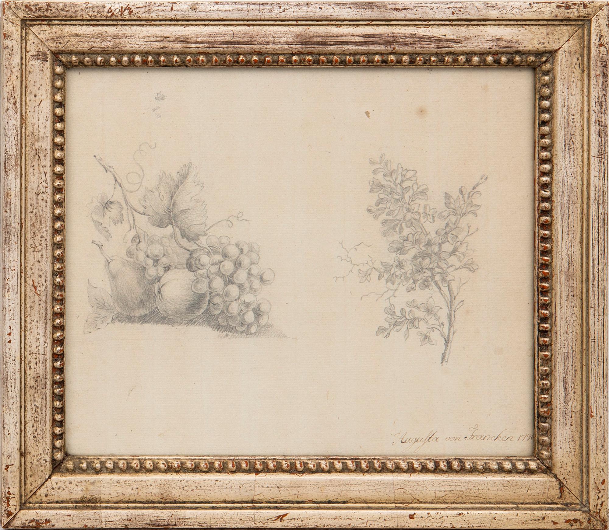 Augusta von Francken, still life, studies, 1796.