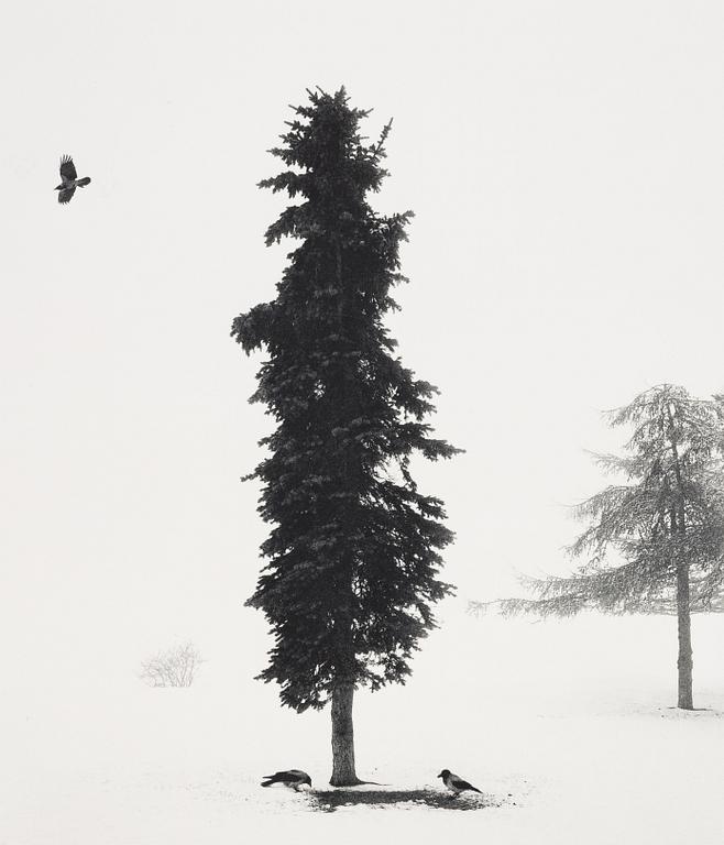 Pentti Sammallahti, Finland Helsinki 2016.