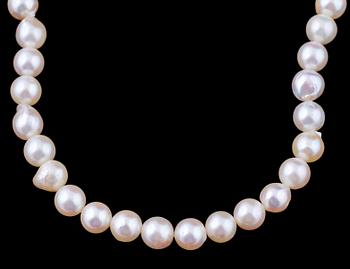 PÄRLCOLLIER, odlade saltvattenspärlor med silverlås.