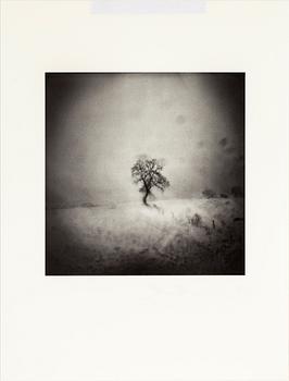 MARTIN BOGREN, photograph signed and numbered 3/15 on verso.