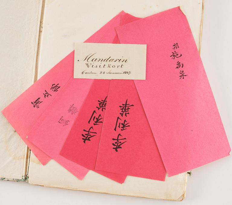 An album with 12 Chinese paintings by anonymous artist, Qing dynasty, 19th Century.