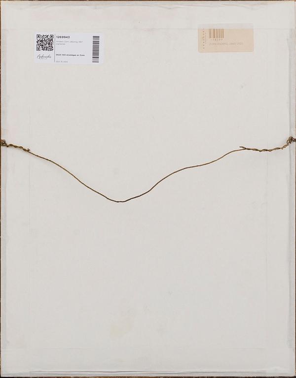 Anders Zorn, etsning, 1917, signerad.