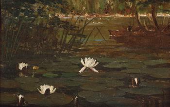 Wilhelm Dahlbom, Water lilies.