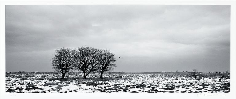 Pentti Sammallahti, "SAARENMAA, VIRO".