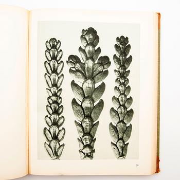 Book, "Art Forms in Nature", Karl Blossfeldt, Spamersche Buchdruckerei, Leipzig, 1930.