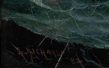 Ludvig Richarde, Ship flying the French flag.