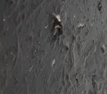 Max Mikael Book, mixed media on canvas, signed MM Book and dated 1997 verso.