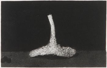 Pentti Kaskipuro, Sieni.