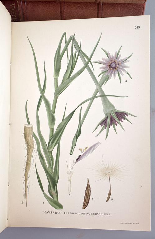 BOK, 3 vol, "Bilder ur Nordens Flora", I-III, CAM Lindman, Stockholm 1922-26.