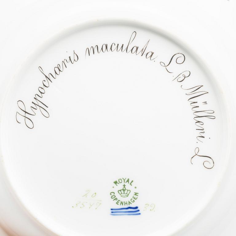 A "FLORA DANICA" PLATE, porcelain, no 20/3547, Royal Copenhagen (1898-1923).