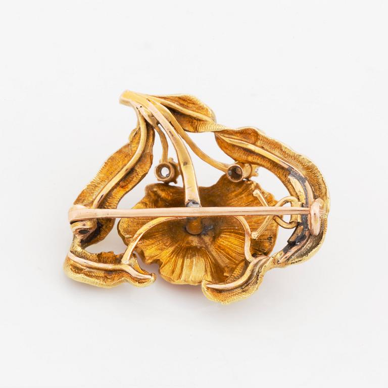 A brooch/necklace combination comprising two brooches and a necklace.