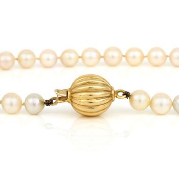 PÄRLCOLLIER, odlade sötvattenspärlor med 18K guld klotformad lås.