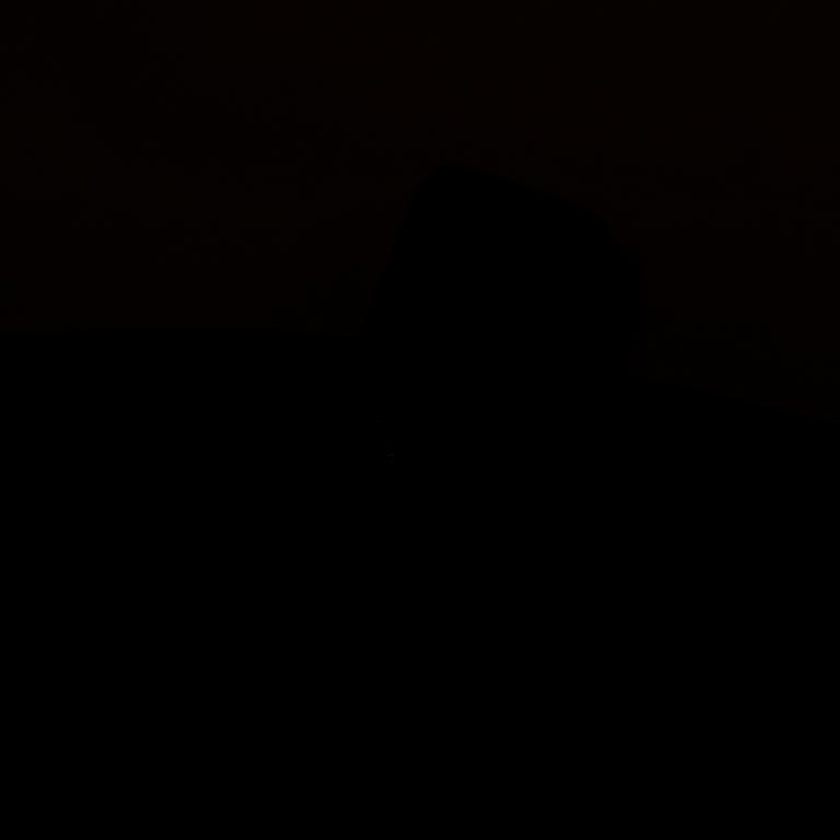 Chanel, "Boy Phone Pouch", 2014.