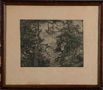 EERO JÄRNEFELT, mjukgrundetsning, signerad.