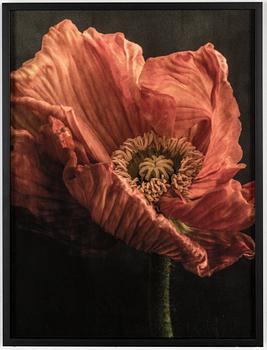 Ewa-Marie Rundquist, photograph signed and numbered 1/15 on label verso.