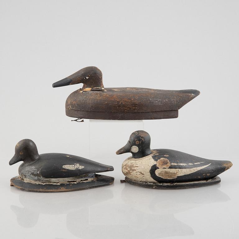 A set of three decoy ducks, first half of the 20th Century.
