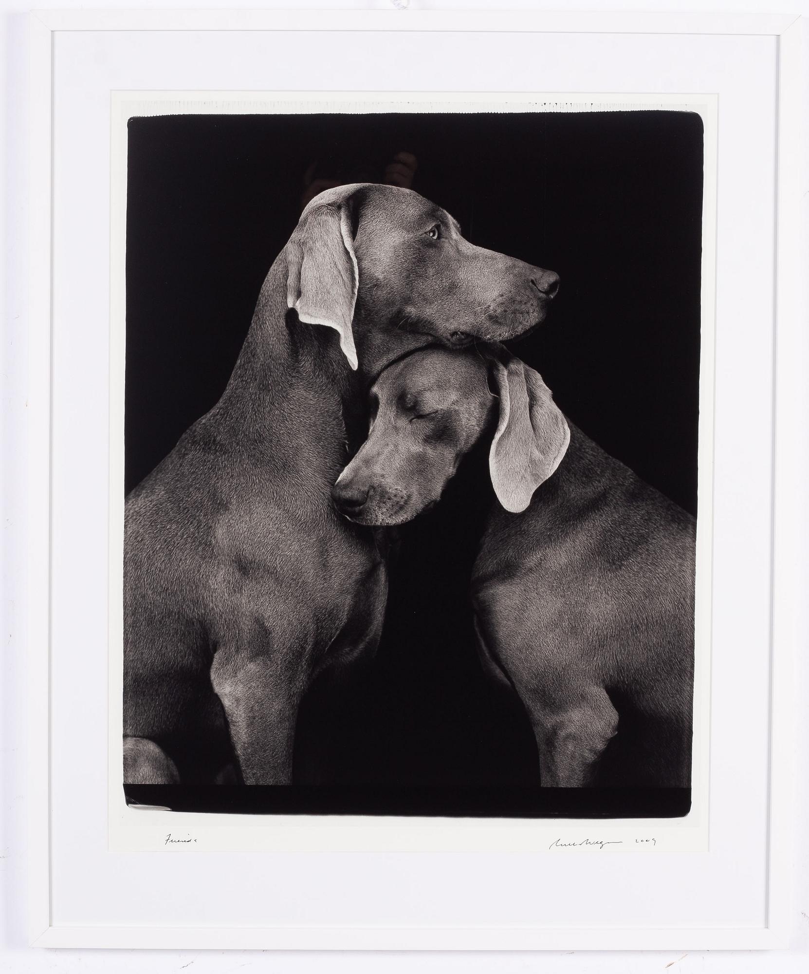 William Wegman, "Friends".