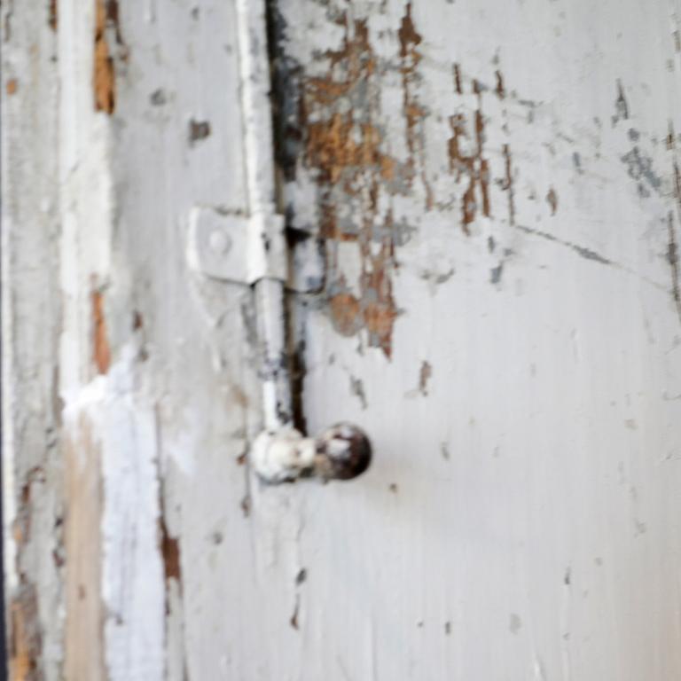 Doors, a pair from the 19th century.