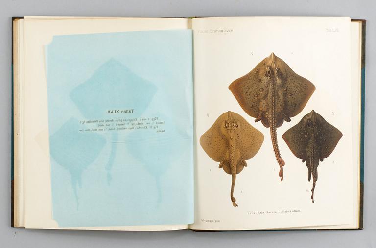 BOK, 3 vol. SKANDINAVIENS FISKAR, W von Wright. I+II+planschdel.