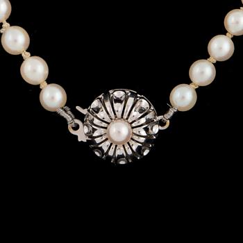 PEARL NECKLACE, graded with silver clasp decorated with a pearl.