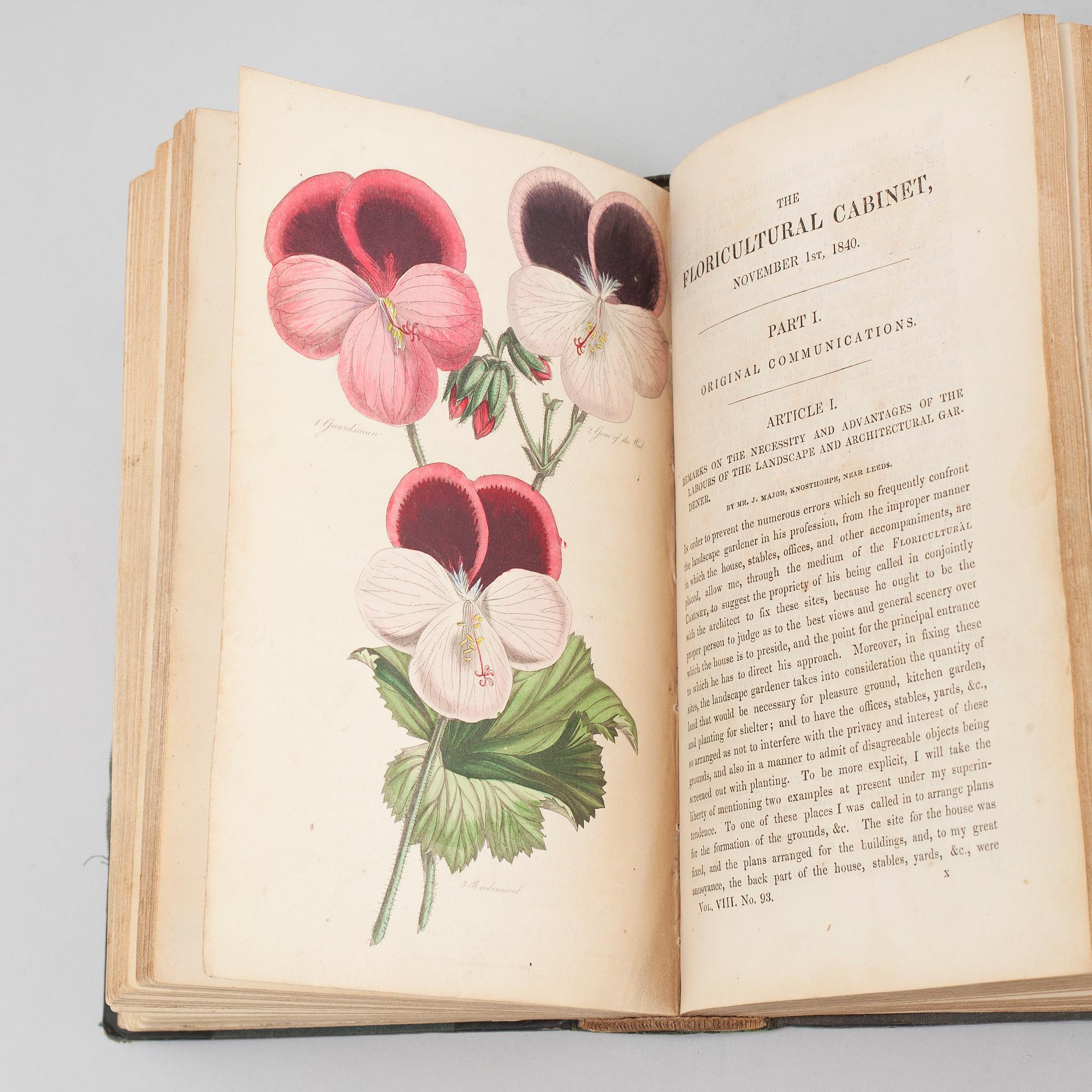 JOSEPH HARRISON, editor, "The Floricultural Cabinet and Florists' Magazine", vol. VII, 1839.