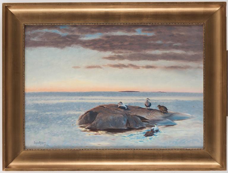 Bruno Liljefors, Ejdrar på kobbe.