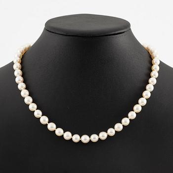 Pärlcollier, med odlade pärlor, med lås 18K vitguld med safirer.