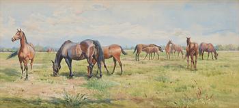 569. Anna Palm de Rosa, Grazing horses.