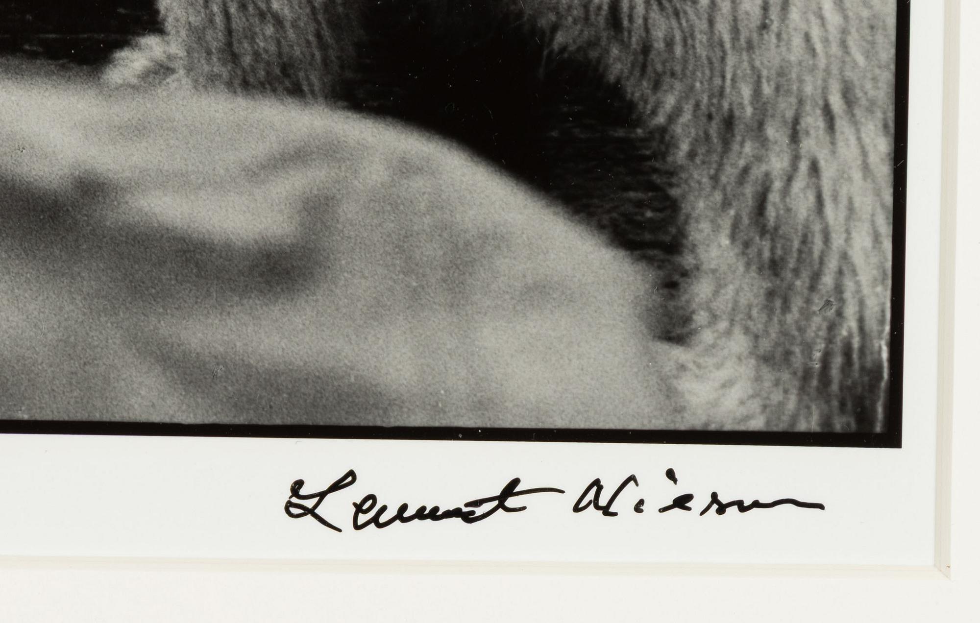 Lennart Nilsson,  "Isbjörnsjakt vid Hvitøya (Vitön), Svalbard, Norge 1947".