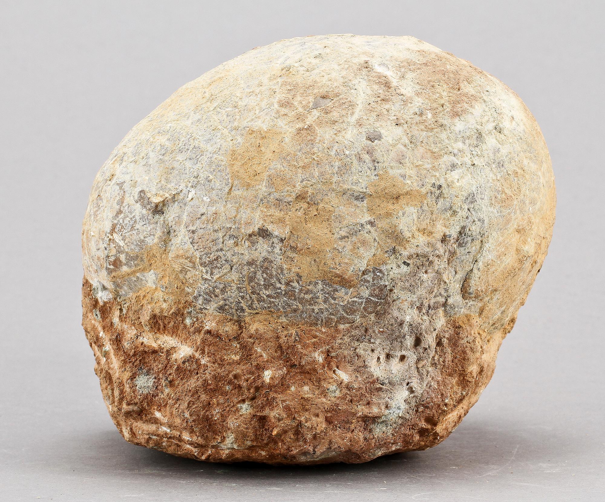 DINOSAURIEÄGG, fossil.