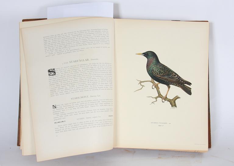 BOK, med ca 20 häften, von Wright "Svenska Fåglar".