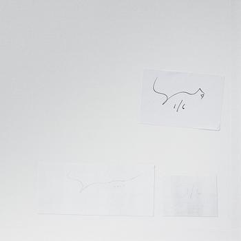 Johan Strindberg, "The Life of Theodore", 2015.