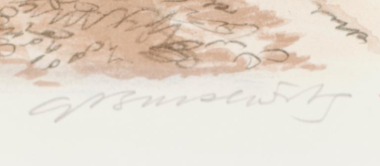 GUNNAR BRUSEWITZ, färglitografi, signerad, numrerad 24/380.