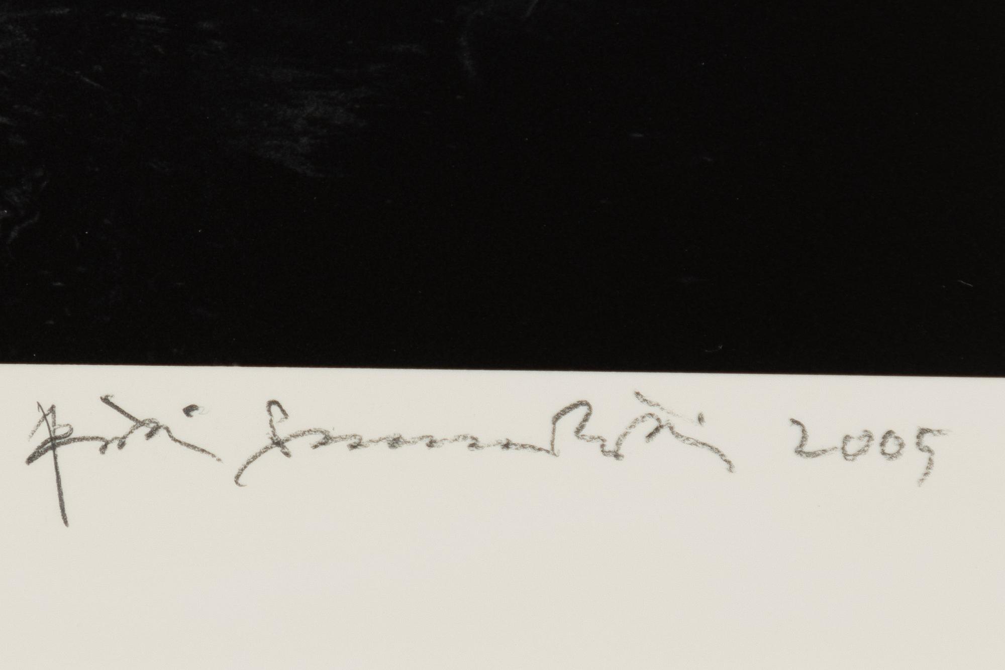 Pentti Sammallahti, "MT. ETJO, NAMIBIA, 2005".