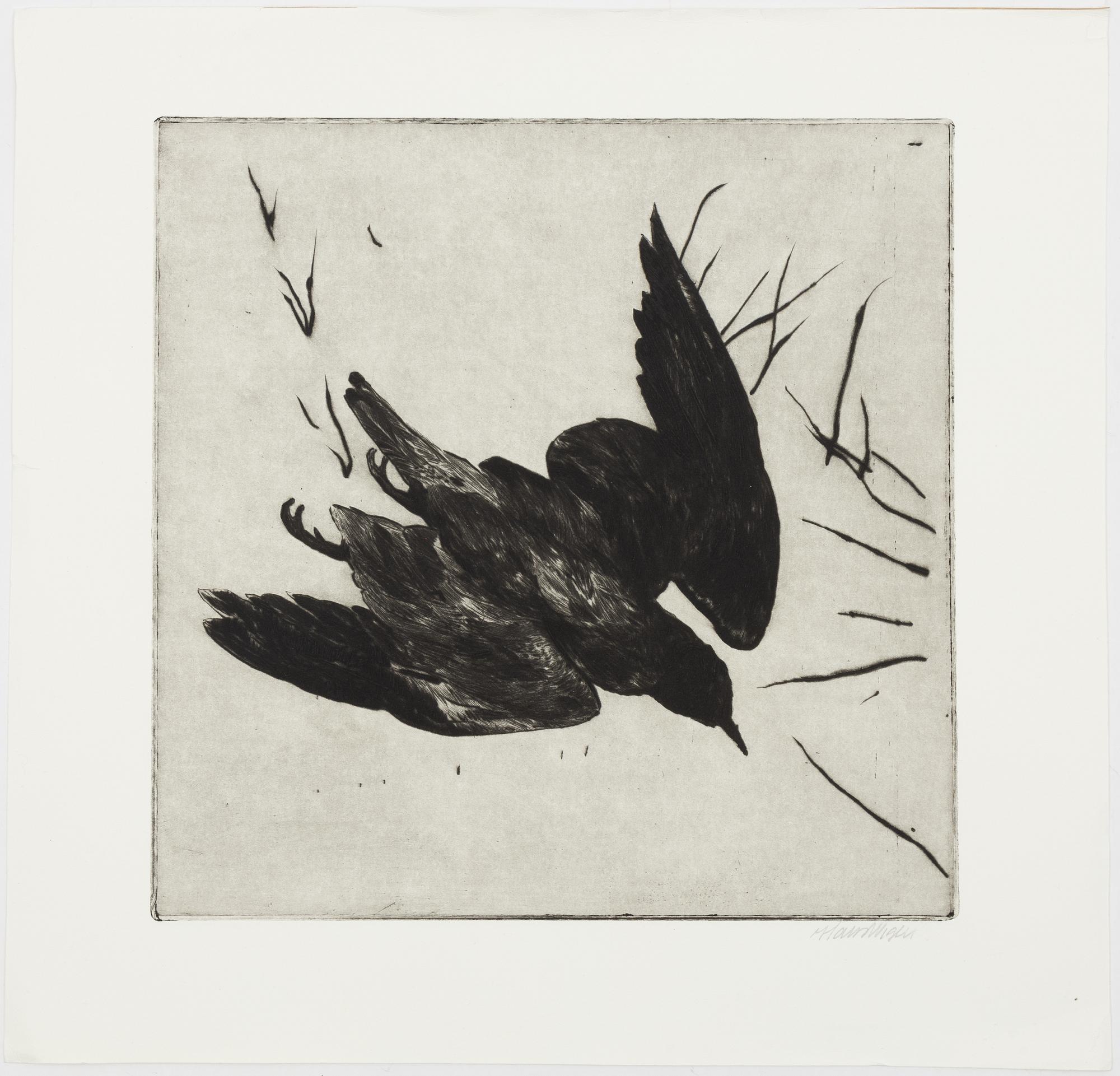 Hans Wigert, bird.