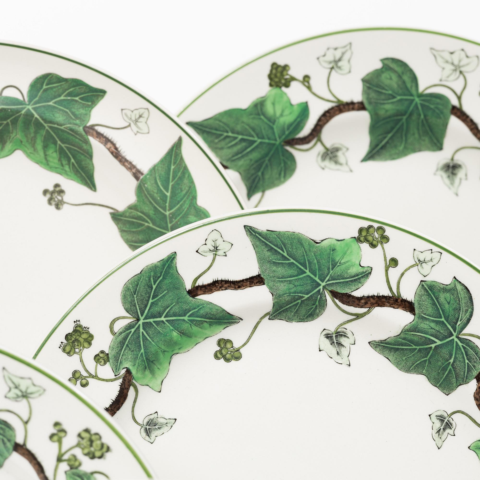 55 'Napoleon Ivy' stoneware plates, Wedgwood.