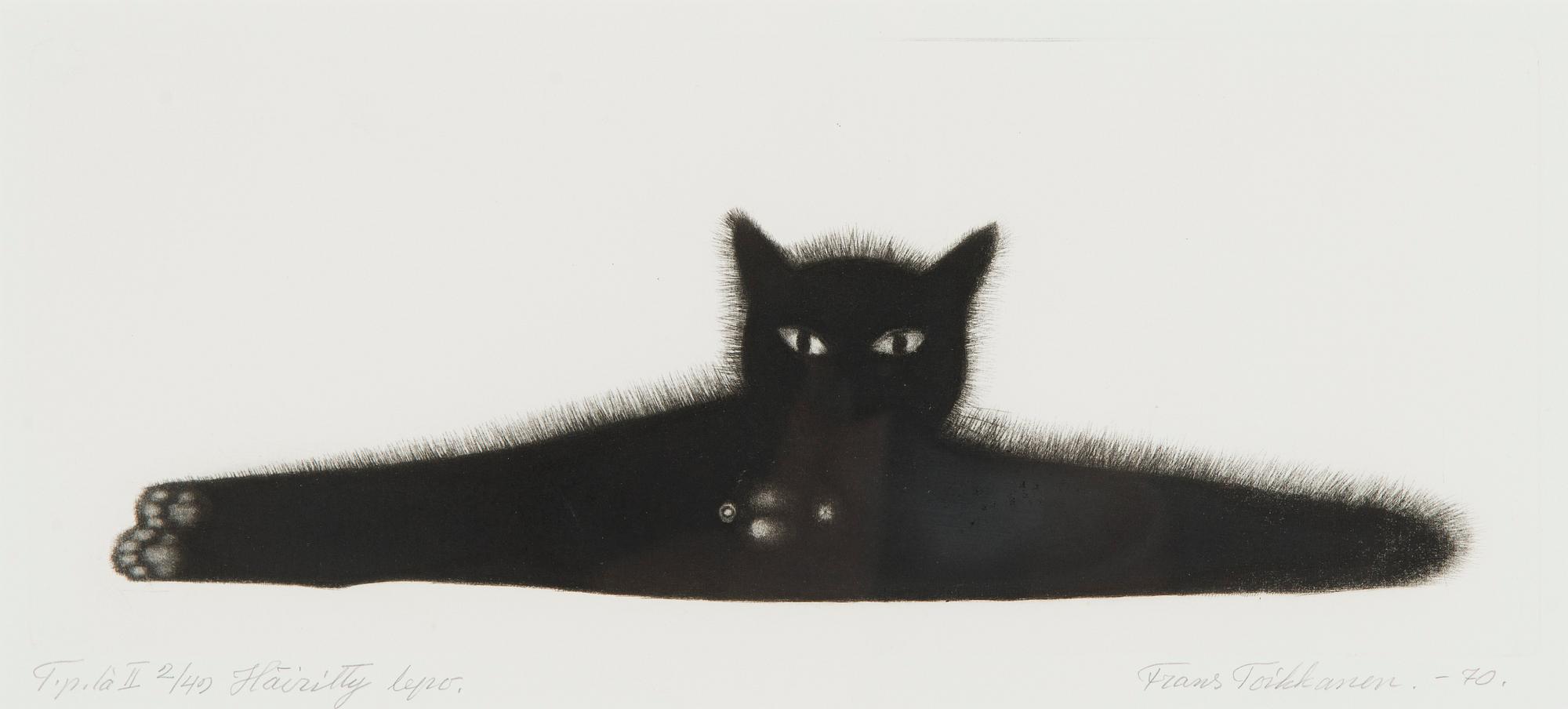 Frans Toikkanen, "Häiritty lepo".