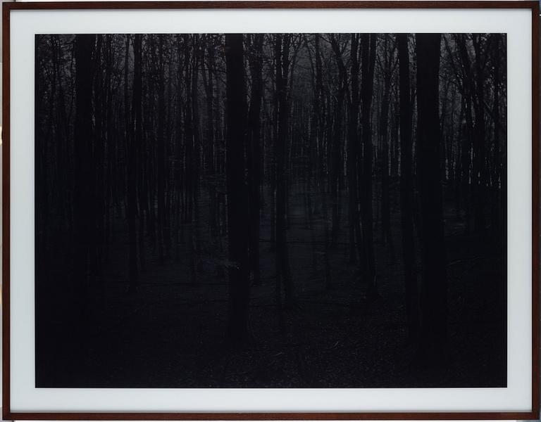 Blaise Reutersward, "Deutsche Landschaft 1203", 2012.