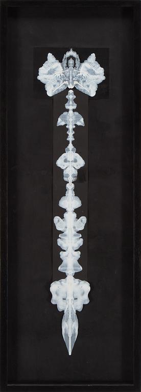 TILDA LOVELL, mixed media on paper, signed and dated 2014 on verso.