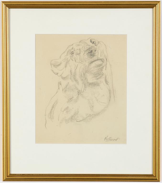 Arvid Knöppel, pencil drawing, signed.