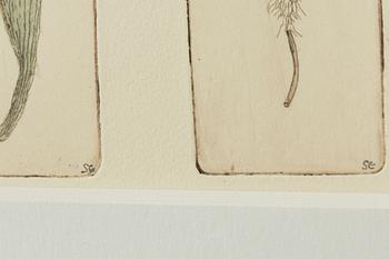 Sten Eklund, "Frukt vid buske odlad vid nr 4" From "Kullahusets hemlighet".