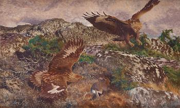 373. Bruno Liljefors, Eagles attacking Hare.