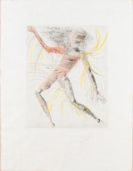 SALVADOR DALÍ, käsinväritetty etsaus, signeerattu ja numeroitu XXXI/C.